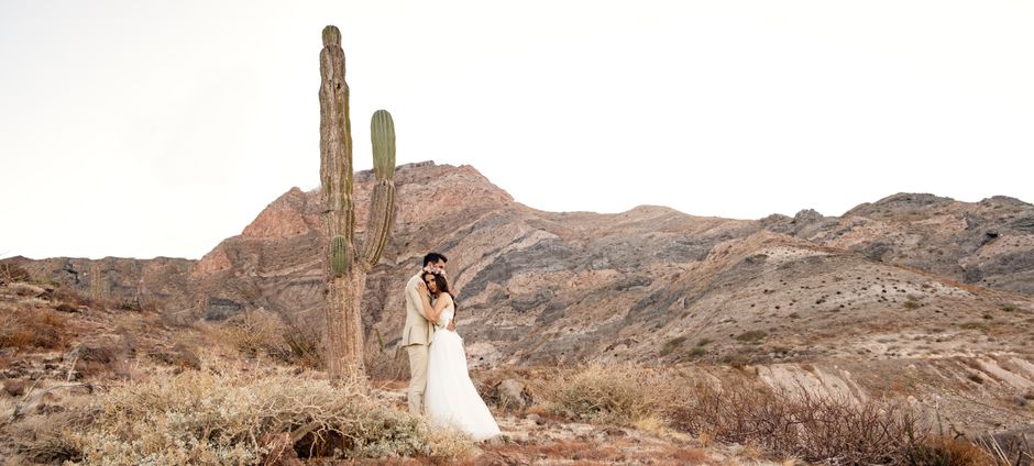Arizona landscape
