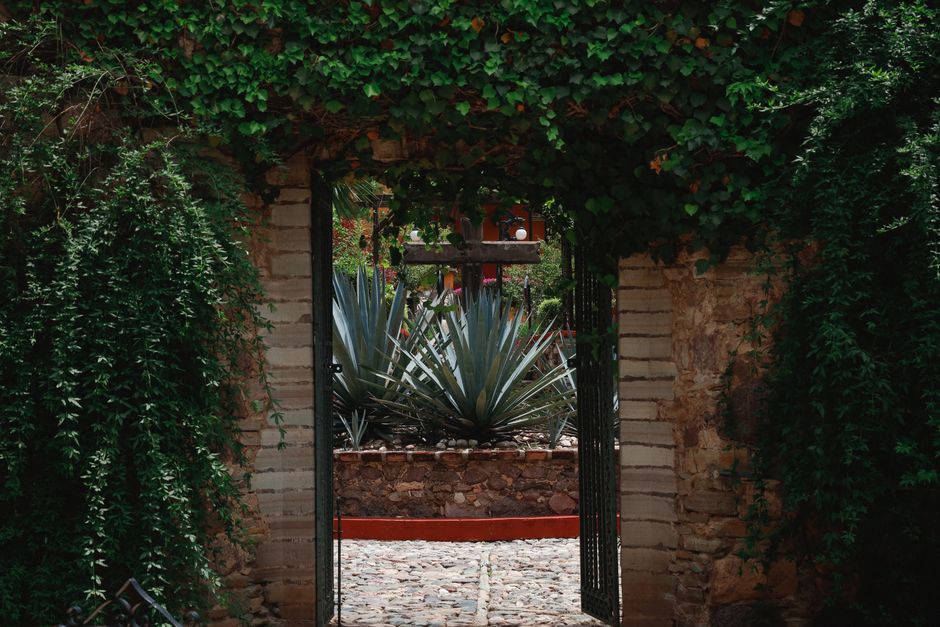 Agua Linda Farm estate grounds